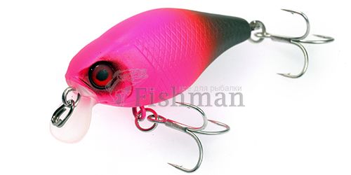 Дәретханада порно фильмдер көру