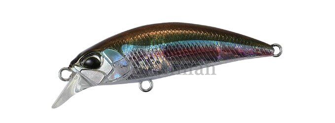 DUO Spearhead Ryuki 38S, ADA-4013