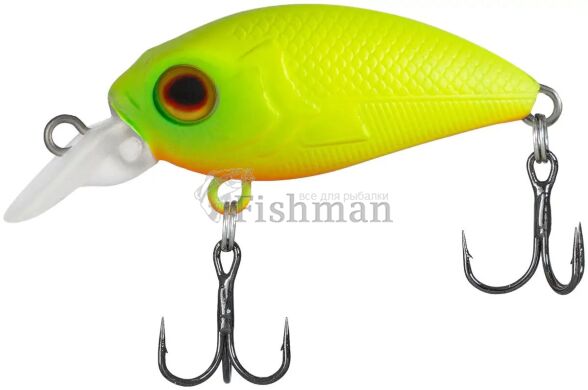 Select Prank 36F, 01