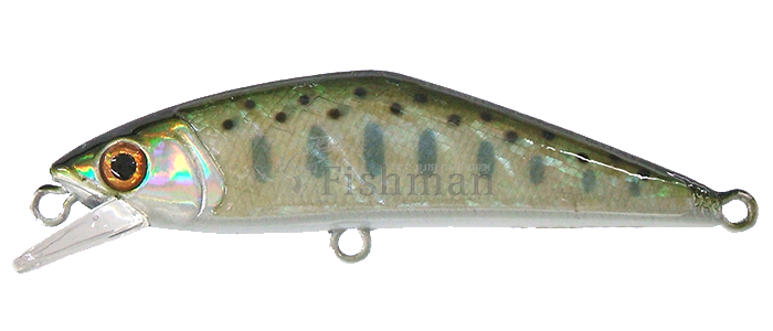 Smith D-Contact Abalone 50S, 01