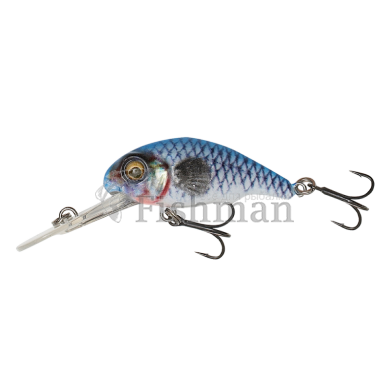 Savage Gear 3D Goby Crank Bait 50F, BLUE/SILVER