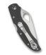 Spyderco Byrd Harrier 2