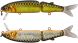 Jackall Magallon, HL Gold & Silver Black