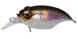 Megabass Griffon Bait Finesse SR-X, PM Setsuki Ayu