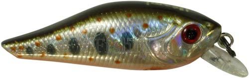 Usami Kira 40SP-SR, 115