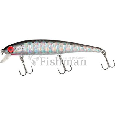 Fladen Dalton 120, 02