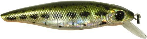 Usami Nishin 65SP-SR, 106