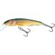Salmo Minnow F 06, RR