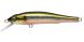 Megabass X-70, Wagin Oikawa