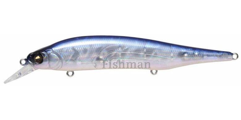 Megabass Ito Shiner, GP Pro Blue