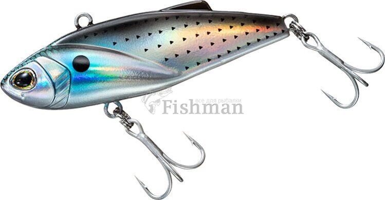 Daiwa Seabass Hunter Vibe Z, Bora Konoshiro