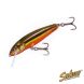 Salmo Minnow F 06, RBD