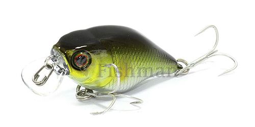 Jackall Chubby 38SR, AYU