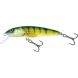 Salmo Minnow F 06, PH