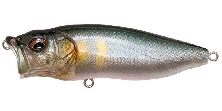 Megabass PopMax, Waka Ayu