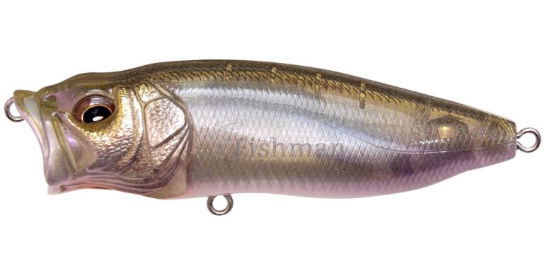 Megabass PopMax, FA Wakasagi