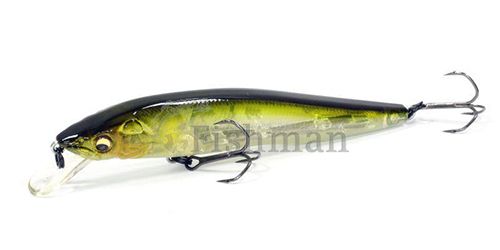 Megabass Vision 95 Q-GO, NC Ayu