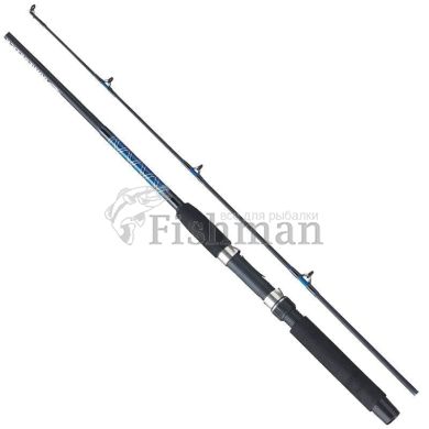 Fladen Powerstick Spinn, 210cm, 210, 2, 10 - 30, #0.8 - 1.5 PE