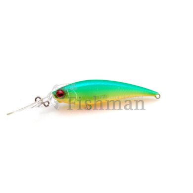 Raid Japan Level Shad Sprinter 68MR, 001