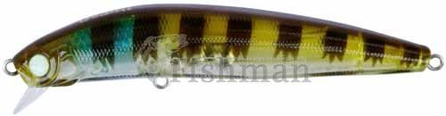 Usami Asai 95 F-SR, 321