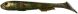 Savage Gear LB 3D Goby Shad 200mm 60.0g, Motor Oil Goby UV