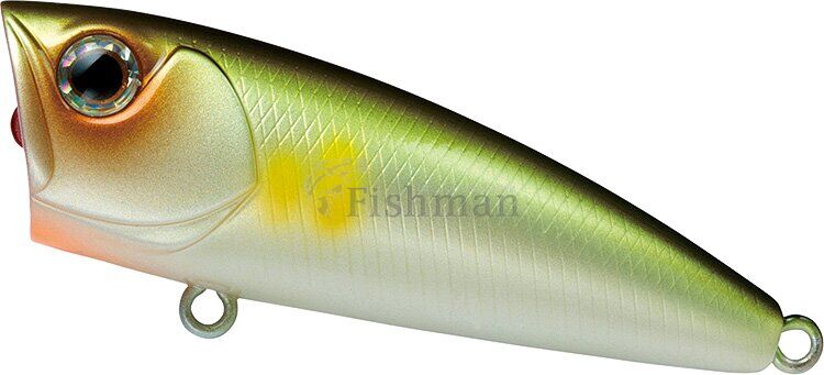 Daiwa Steez Popper 50F, AYU