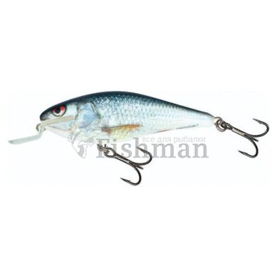 Воблер Salmo Executor SR 07/RD (IEX7SR-RD), RD