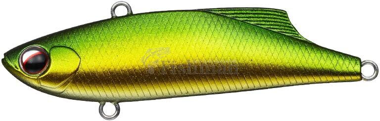 EverGreen Marvie 70, 835