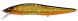 Megabass Oneten Max LBO, GG Megabass Kinkuro