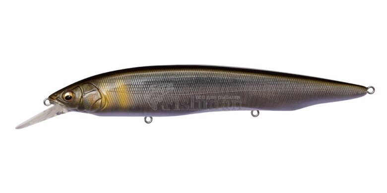 Megabass Kanata+1, FA Se Ayu