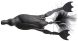 Savage Gear 3D Hollow Duckling weedless L, 05