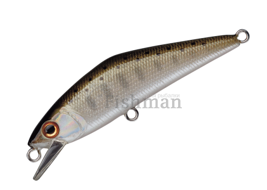 Smith D Contact 72S, 03