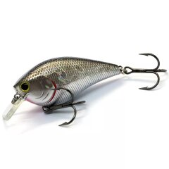 Lucky Craft LC 2.5, 419