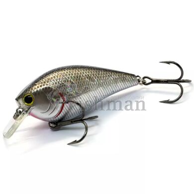 Lucky Craft LC 2.5, 419