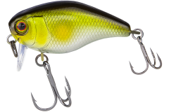 Jackall Chubby 41SSR, AYU