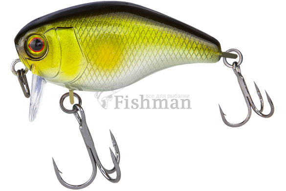 Jackall Chubby 41SSR, AYU