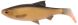 Savage Gear 3D LB River Roach Paddletail 18cm 70g 2pcs, Dirty Roach