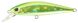 ZipBaits Rigge Flat 50S, 317