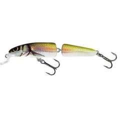 Salmo Fanatic F 07, HBL