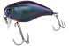 Jackall Chubby 41SSR, UL Bug