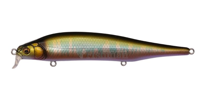 Megabass Ito Shiner SSR, Wagin Oikawa