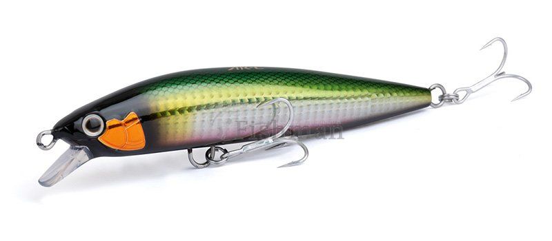 Shimano Exsence Blast Shad 170F, 11