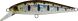 ZipBaits Rigge Flat 50S, 810