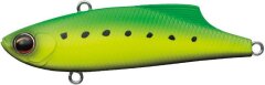EverGreen Marvie 70, 790