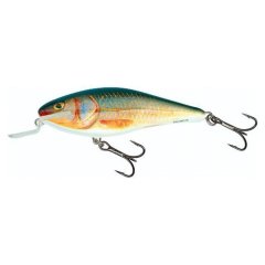 Воблер Salmo Executor SR 07/RR (IEX7SR-RR), RR