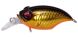 Megabass Griffon Bait Finesse SR-X, GG Megabass Kinkuro