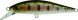 ZipBaits Rigge Flat 50S, 851