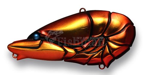 issei G.C.zari vib 67, 09