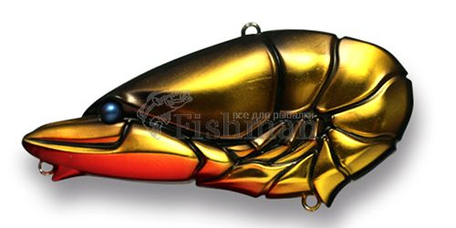 issei G.C.zari vib 57, 07
