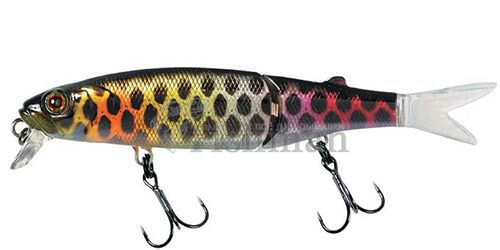 Jackall Tiny Magallon, Black Pirarucu